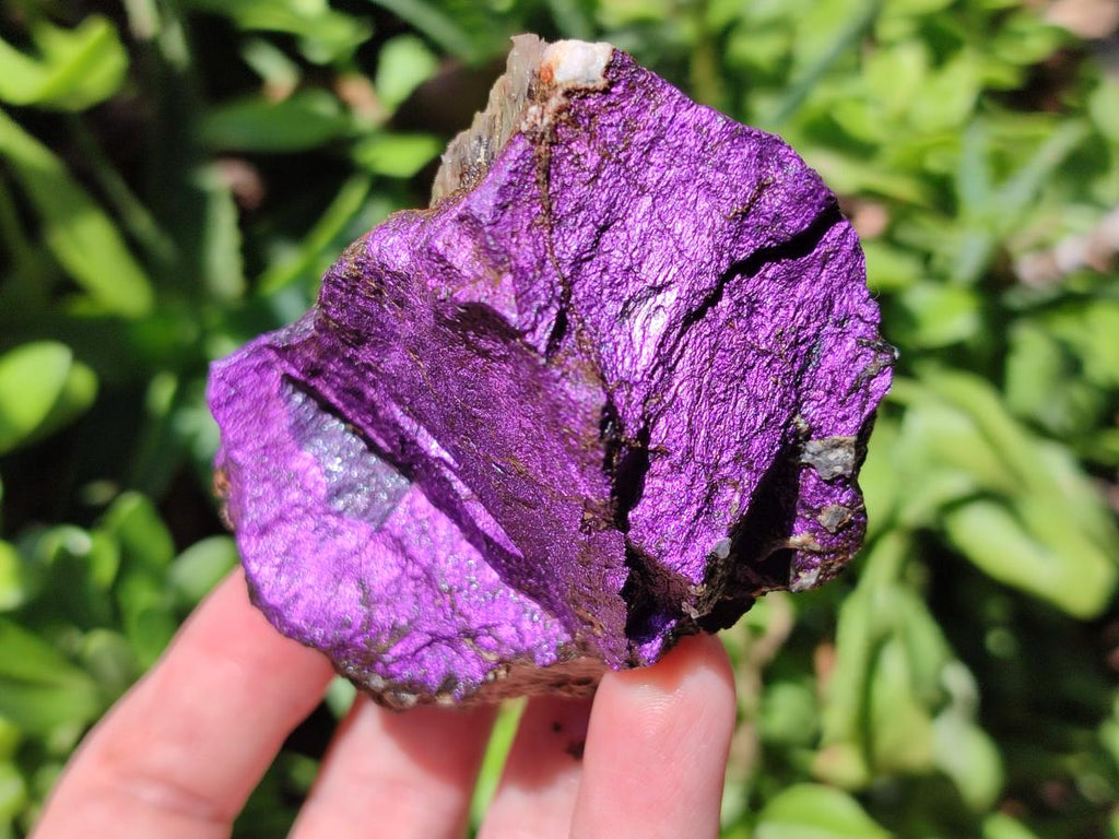Natural Metallic Cobbed Purpurite Specimens x 12 From Erongo, Namibia - Toprock Gemstones and Minerals 