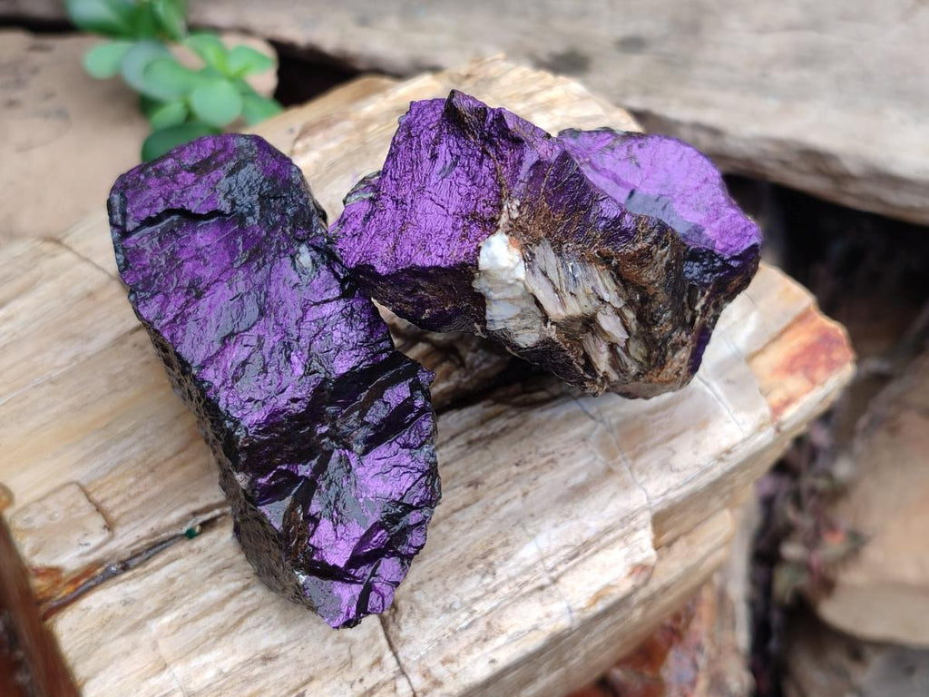 Natural Metallic Cobbed Purpurite Specimens x 12 From Erongo, Namibia - Toprock Gemstones and Minerals 