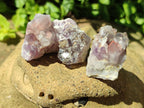 Natural Rare Amethyst Asylum Quartz Clusters x 35 From Luena, Congo - Toprock Gemstones and Minerals 
