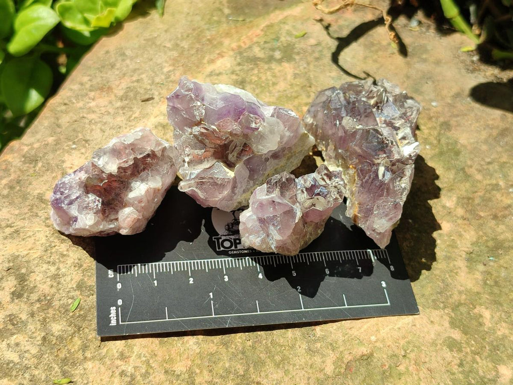 Natural Rare Amethyst Asylum Quartz Clusters x 35 From Luena, Congo - Toprock Gemstones and Minerals 