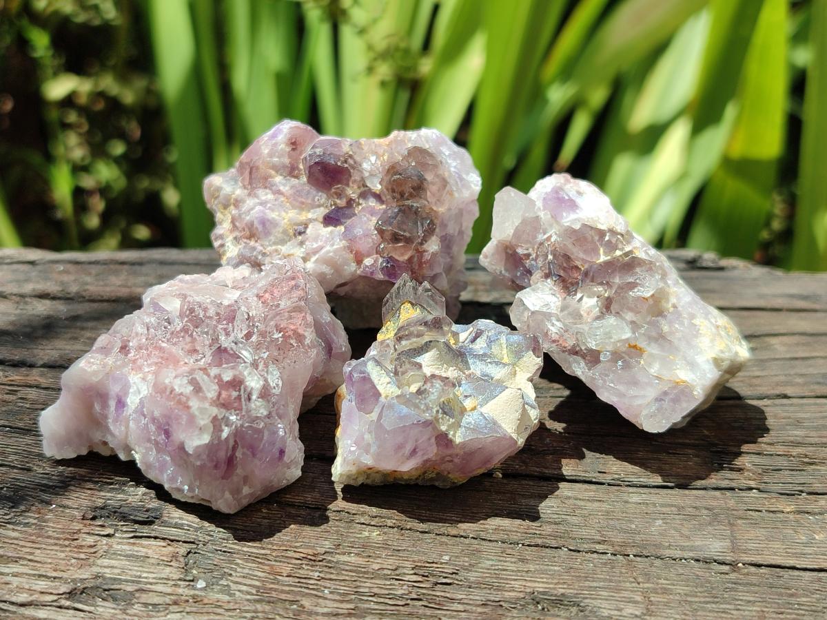 Natural Rare Amethyst Asylum Quartz Clusters x 35 From Luena, Congo - Toprock Gemstones and Minerals 