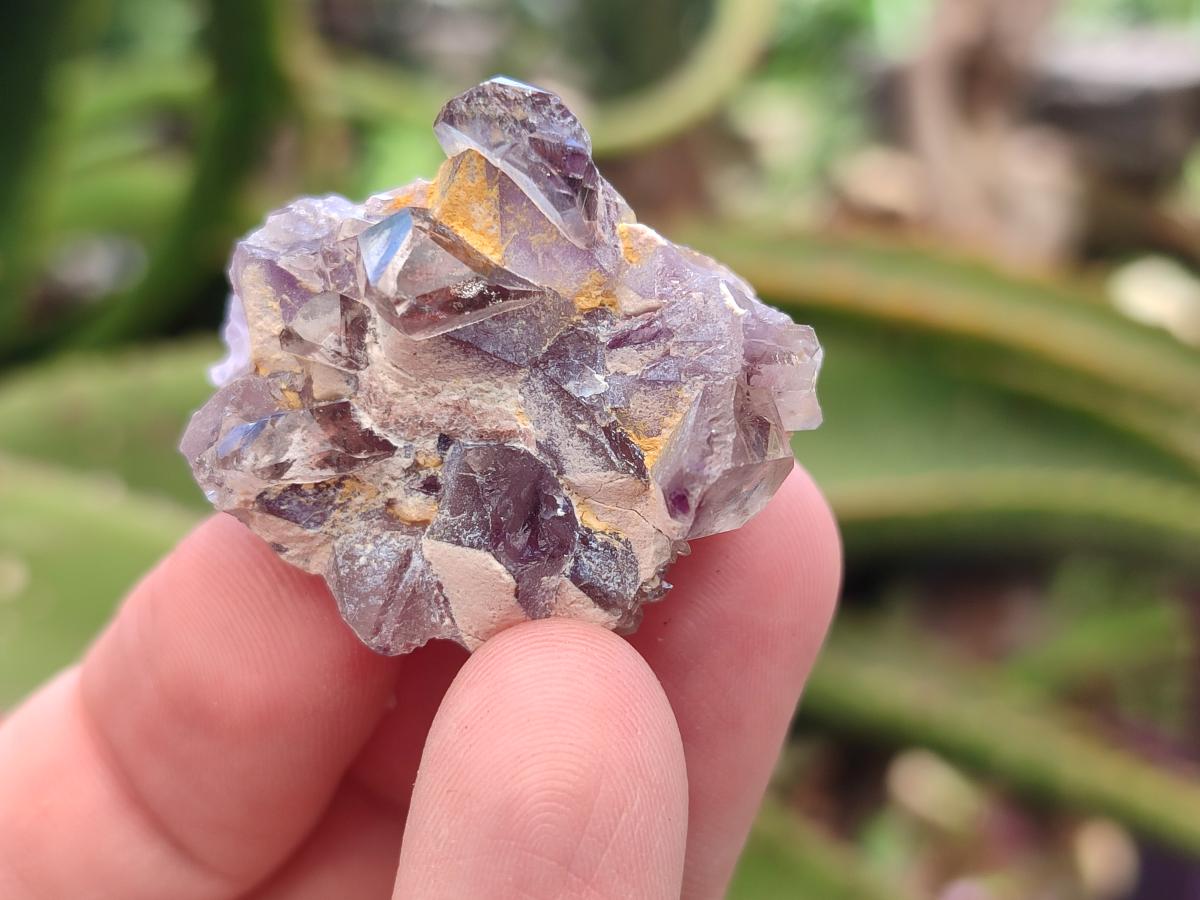Natural Rare Amethyst Asylum Quartz Clusters x 35 From Luena, Congo - Toprock Gemstones and Minerals 