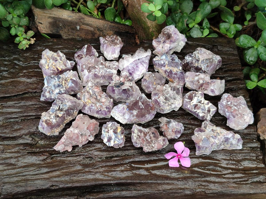 Natural Rare Amethyst Asylum Quartz Clusters x 35 From Luena, Congo - Toprock Gemstones and Minerals 