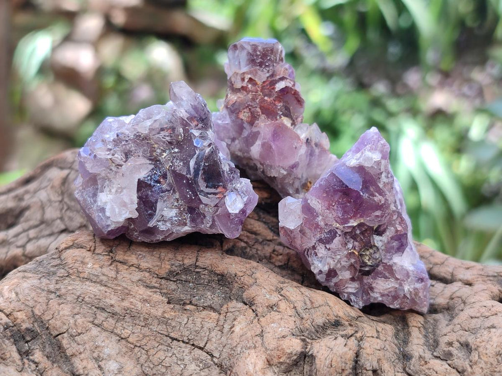 Natural Rare Amethyst Asylum Quartz Clusters x 35 From Luena, Congo - Toprock Gemstones and Minerals 