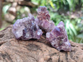 Natural Rare Amethyst Asylum Quartz Clusters x 35 From Luena, Congo - Toprock Gemstones and Minerals 