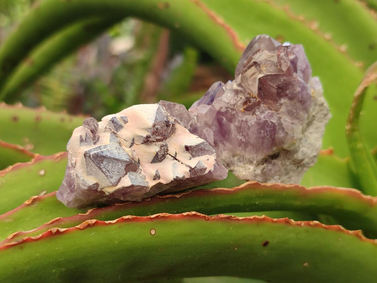 Natural Rare Amethyst Asylum Quartz Clusters x 35 From Luena, Congo - Toprock Gemstones and Minerals 