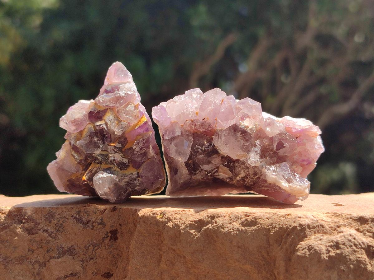 Natural Rare Amethyst Asylum Quartz Clusters x 35 From Luena, Congo - Toprock Gemstones and Minerals 
