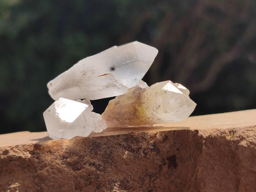 Natural Hollandite Star Quartz Crystals x 70 From Congo - Toprock Gemstones and Minerals 