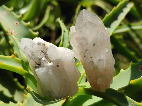Natural Hollandite Star Quartz Crystals x 70 From Congo - Toprock Gemstones and Minerals 