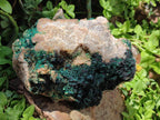 Natural Large Crystalline Malachite Specimen x 1 From Tenke Fungurume, Congo - Toprock Gemstones and Minerals 