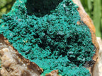 Natural Large Crystalline Malachite Specimen x 1 From Tenke Fungurume, Congo - Toprock Gemstones and Minerals 