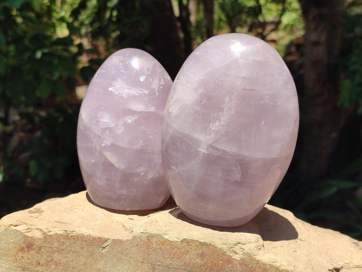 Polished Gemmy Rose Quartz Standing Free Forms x 2 From Madagascar - Toprock Gemstones and Minerals 