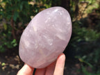 Polished Gemmy Rose Quartz Standing Free Forms x 2 From Madagascar - Toprock Gemstones and Minerals 