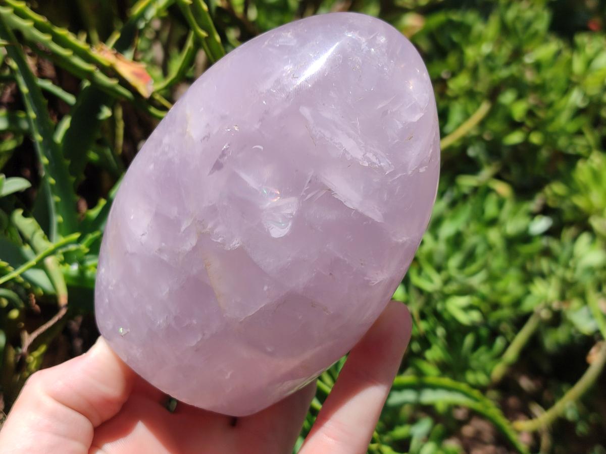 Polished Gemmy Rose Quartz Standing Free Forms x 2 From Madagascar - Toprock Gemstones and Minerals 