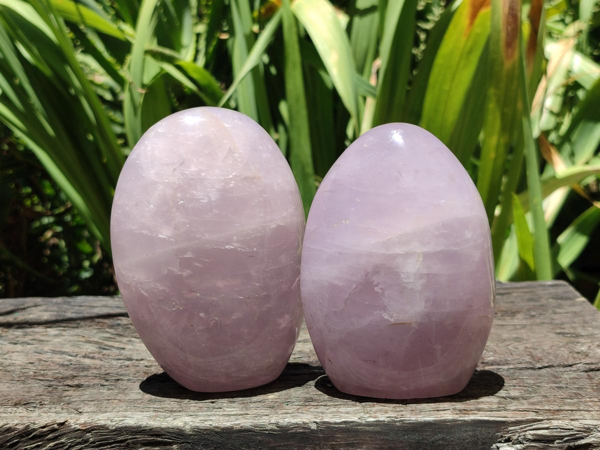 Polished Gemmy Rose Quartz Standing Free Forms x 2 From Madagascar - Toprock Gemstones and Minerals 