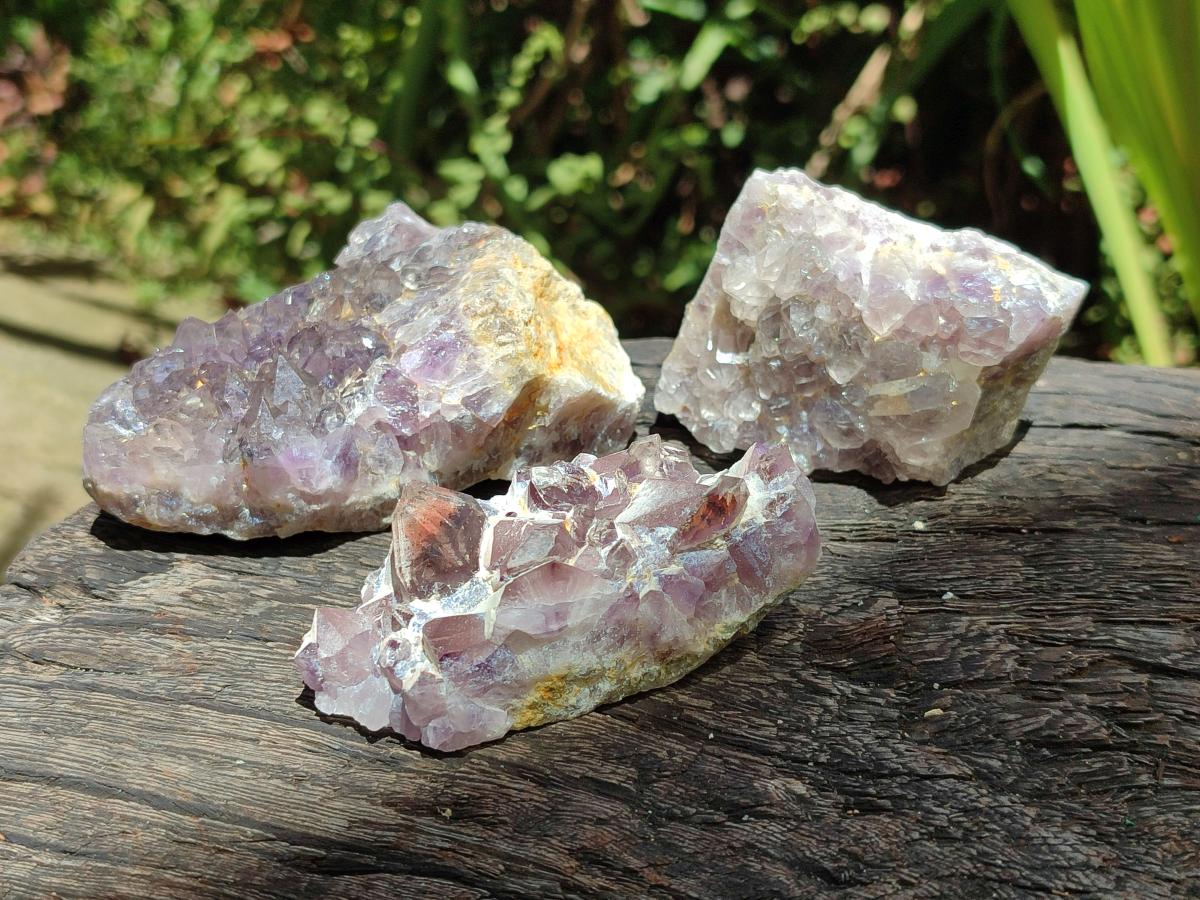 Natural Rare Amethyst Asylum Quartz Clusters x 12 From Luena, Congo - Toprock Gemstones and Minerals 