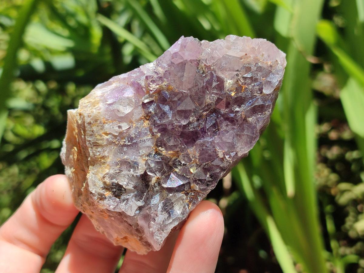 Natural Rare Amethyst Asylum Quartz Clusters x 12 From Luena, Congo - Toprock Gemstones and Minerals 