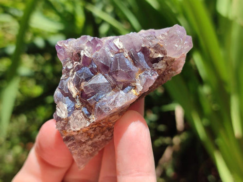 Natural Rare Amethyst Asylum Quartz Clusters x 12 From Luena, Congo - Toprock Gemstones and Minerals 