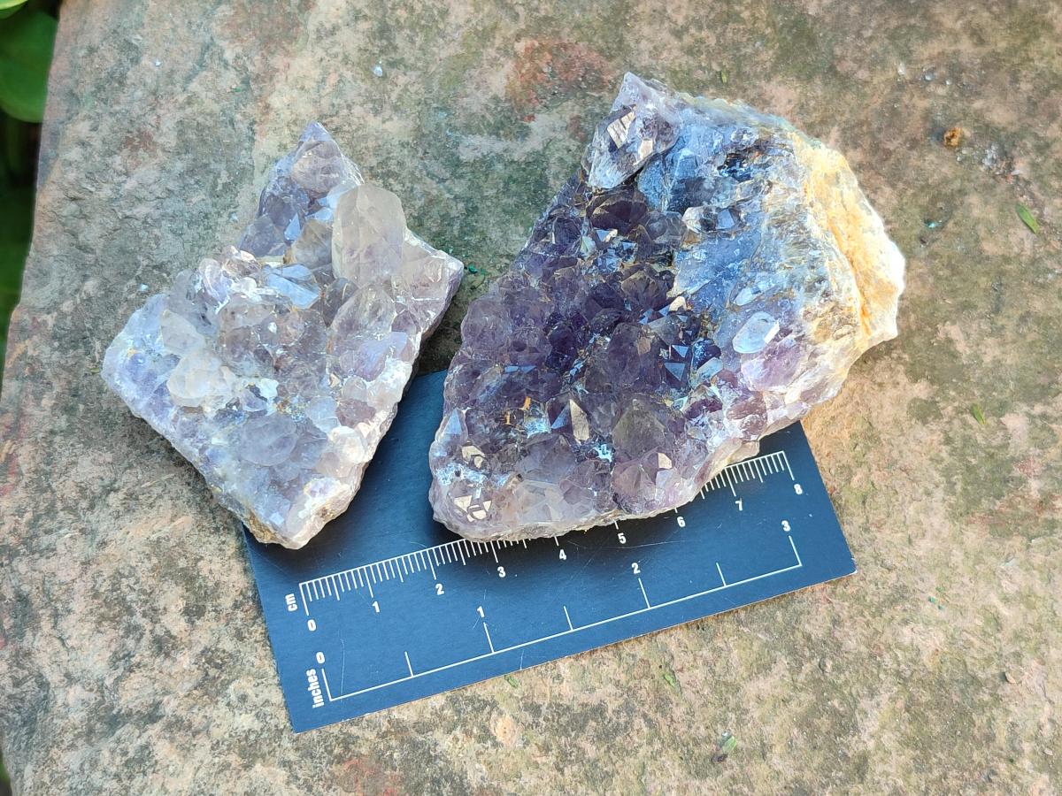 Natural Rare Amethyst Asylum Quartz Clusters x 12 From Luena, Congo - Toprock Gemstones and Minerals 
