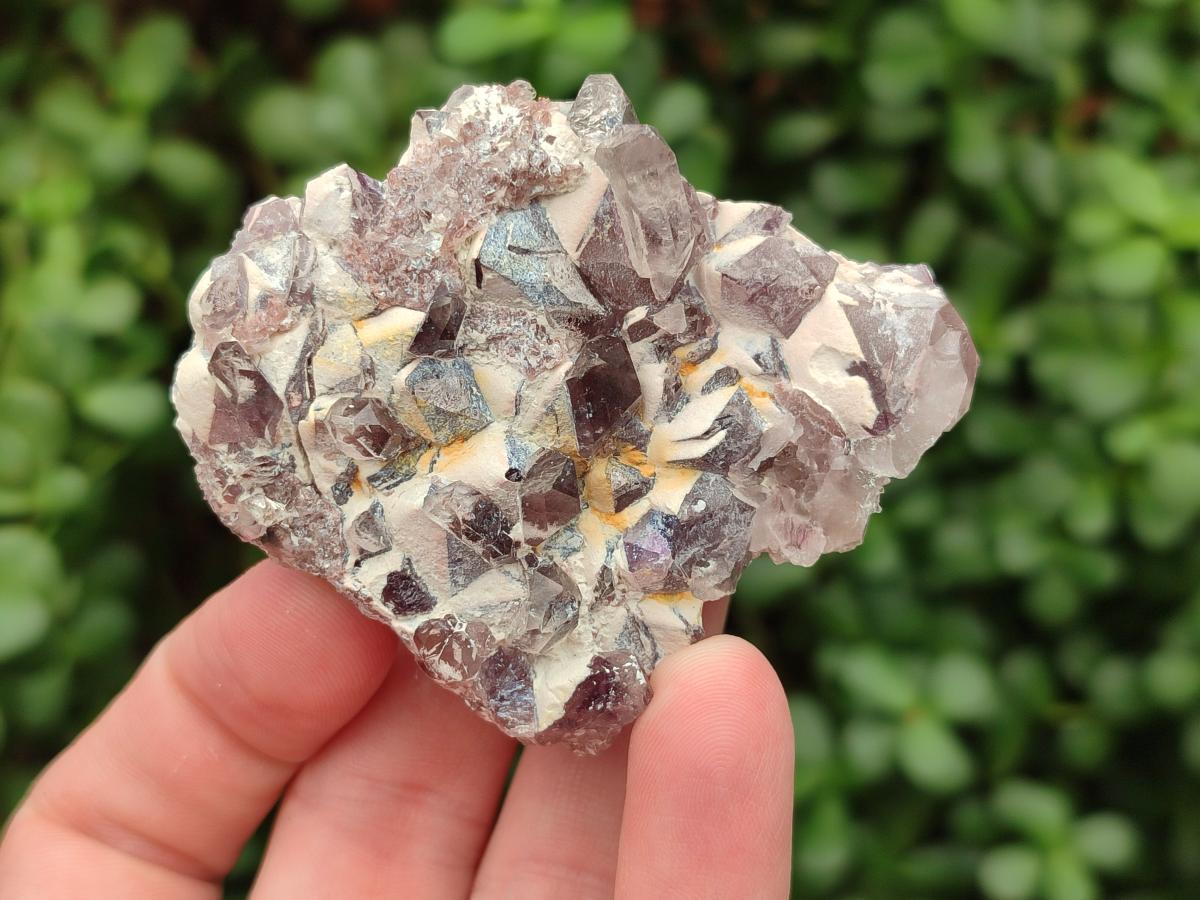 Natural Rare Amethyst Asylum Quartz Clusters x 12 From Luena, Congo - Toprock Gemstones and Minerals 