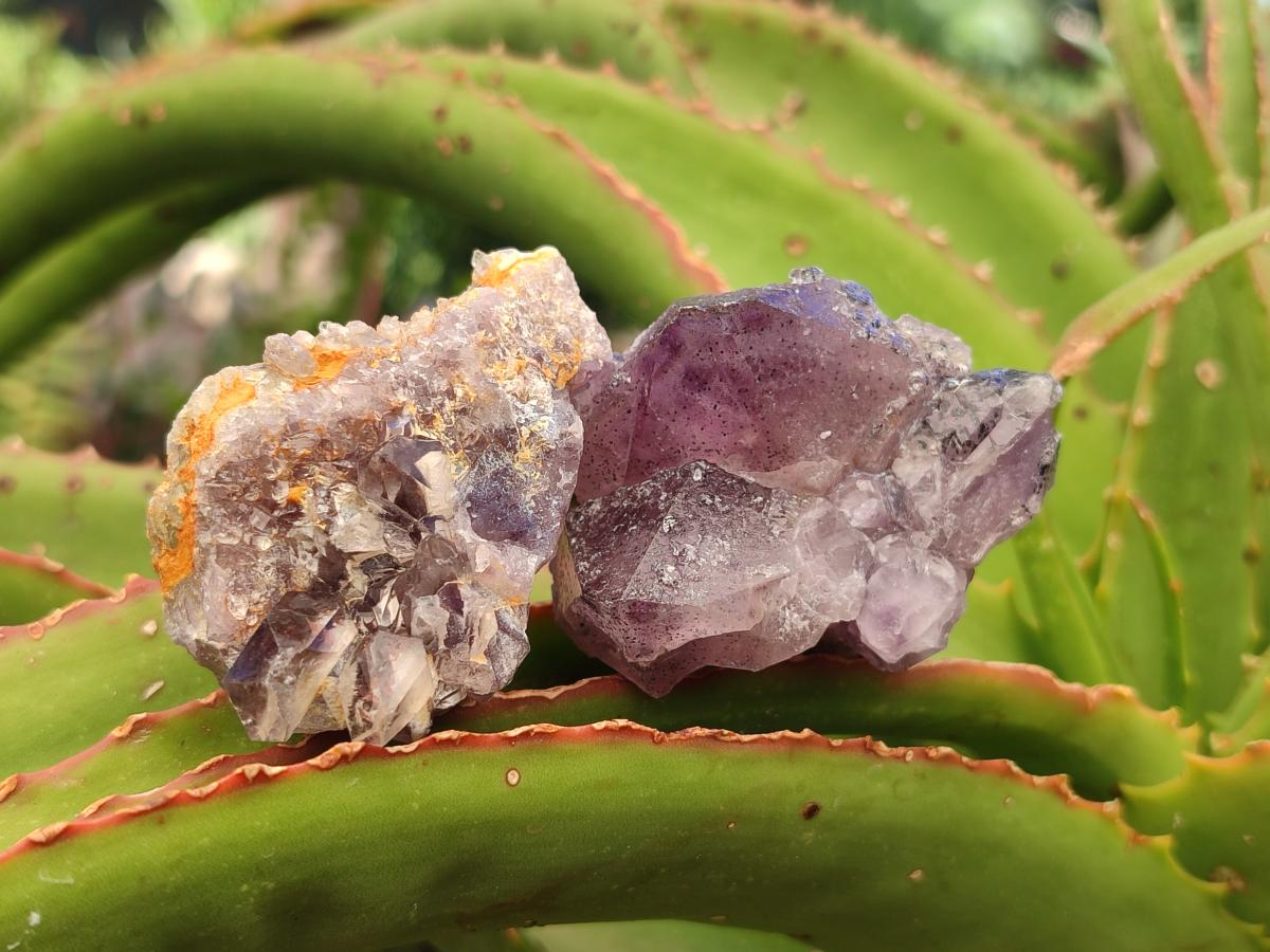 Natural Rare Amethyst Asylum Quartz Clusters x 12 From Luena, Congo - Toprock Gemstones and Minerals 