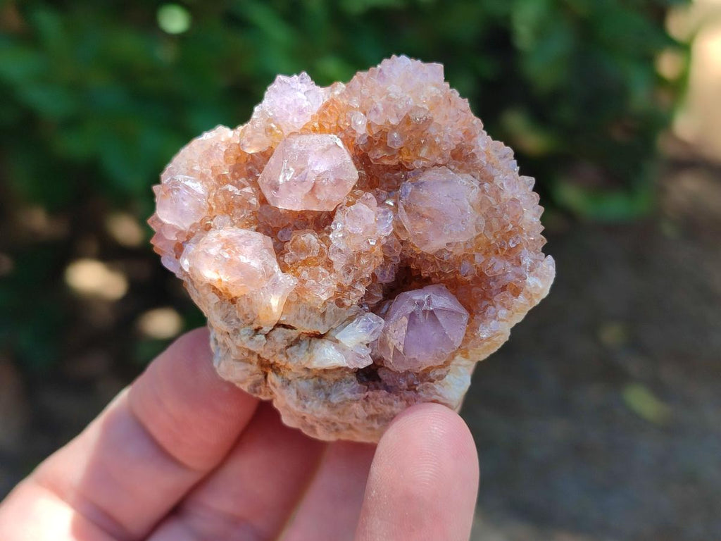 Natural Mixed Spirit Quartz Crystals And Clusters x 12 From Boekenhouthoek, South Africa - Toprock Gemstones and Minerals 