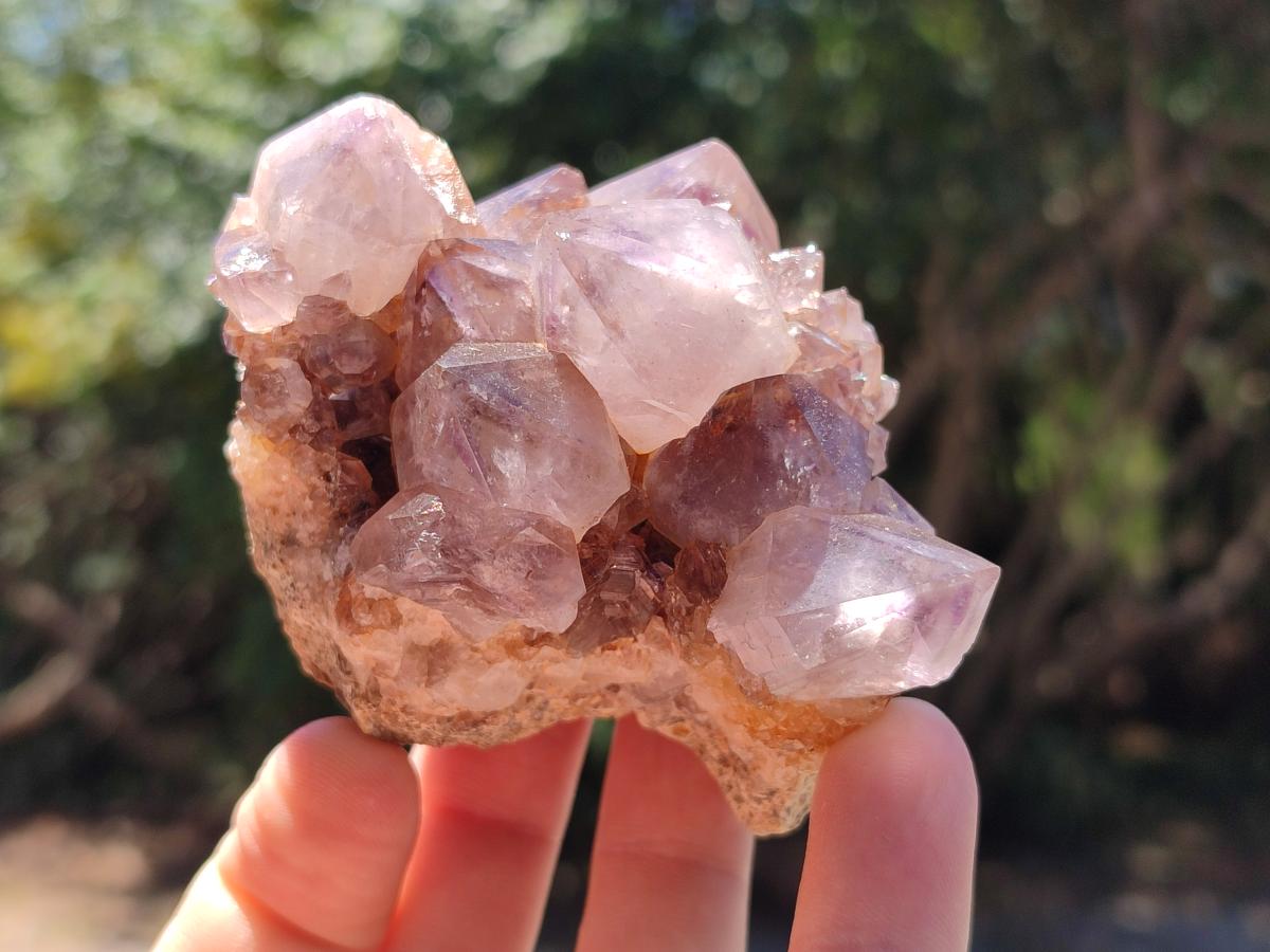 Natural Mixed Spirit Quartz Crystals And Clusters x 12 From Boekenhouthoek, South Africa - Toprock Gemstones and Minerals 