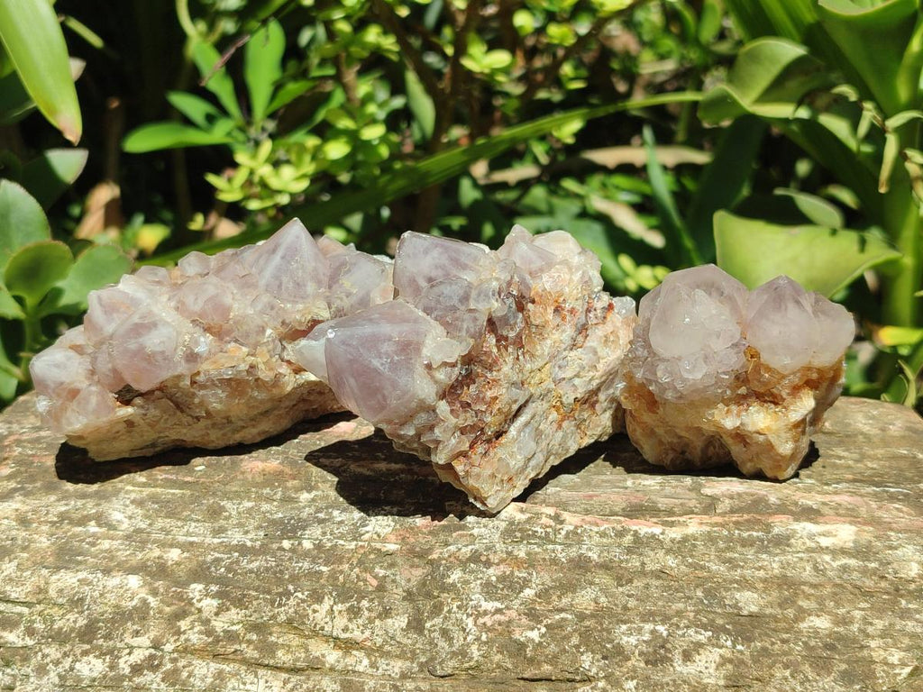 Natural Mixed Spirit Quartz Crystals And Clusters x 12 From Boekenhouthoek, South Africa - Toprock Gemstones and Minerals 