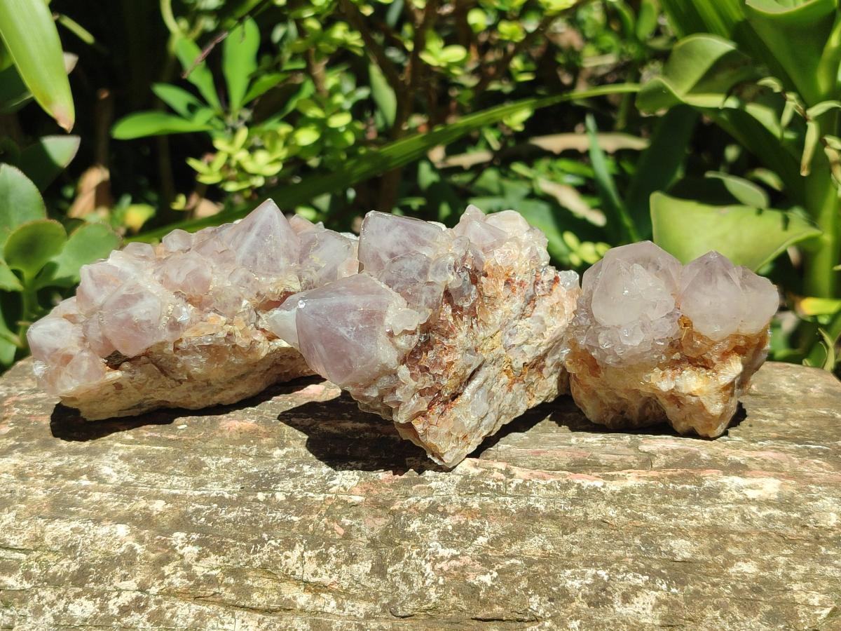 Natural Mixed Spirit Quartz Crystals And Clusters x 12 From Boekenhouthoek, South Africa - Toprock Gemstones and Minerals 