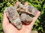 Natural Mixed Spirit Quartz Crystals And Clusters x 12 From Boekenhouthoek, South Africa - Toprock Gemstones and Minerals 
