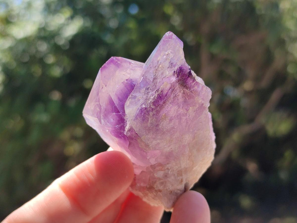 Natural Mixed Spirit Quartz Crystals And Clusters x 12 From Boekenhouthoek, South Africa - Toprock Gemstones and Minerals 