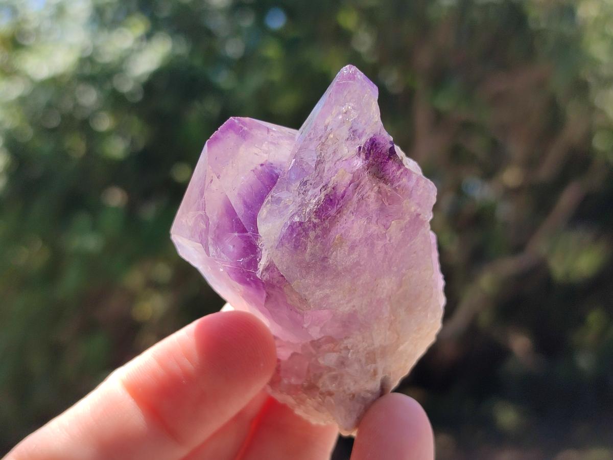 Natural Mixed Spirit Quartz Crystals And Clusters x 12 From Boekenhouthoek, South Africa - Toprock Gemstones and Minerals 