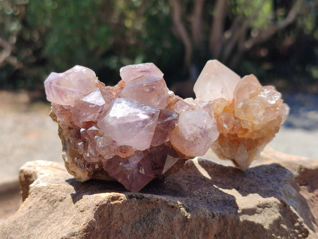 Natural Mixed Spirit Quartz Crystals And Clusters x 12 From Boekenhouthoek, South Africa - Toprock Gemstones and Minerals 