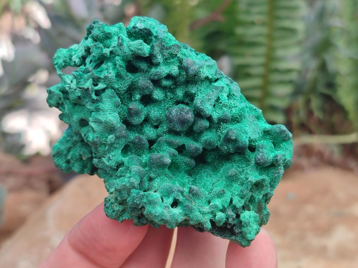 Natural Silky Malachite Specimens x 6 From Kasompe, Congo - Toprock Gemstones and Minerals 