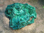 Natural Silky Malachite Specimens x 6 From Kasompe, Congo - Toprock Gemstones and Minerals 