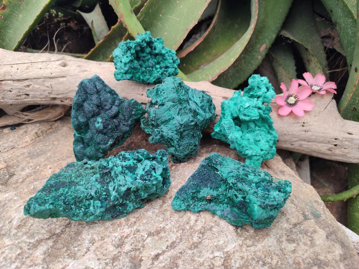 Natural Silky Malachite Specimens x 6 From Kasompe, Congo - Toprock Gemstones and Minerals 