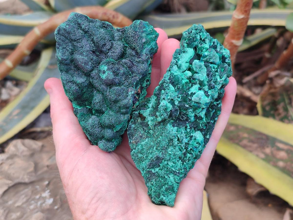 Natural Silky Malachite Specimens x 6 From Kasompe, Congo - Toprock Gemstones and Minerals 