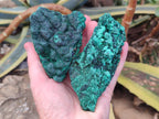 Natural Silky Malachite Specimens x 6 From Kasompe, Congo - Toprock Gemstones and Minerals 