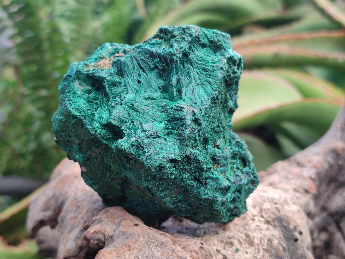 Natural Silky Malachite Specimens x 6 From Kasompe, Congo - Toprock Gemstones and Minerals 