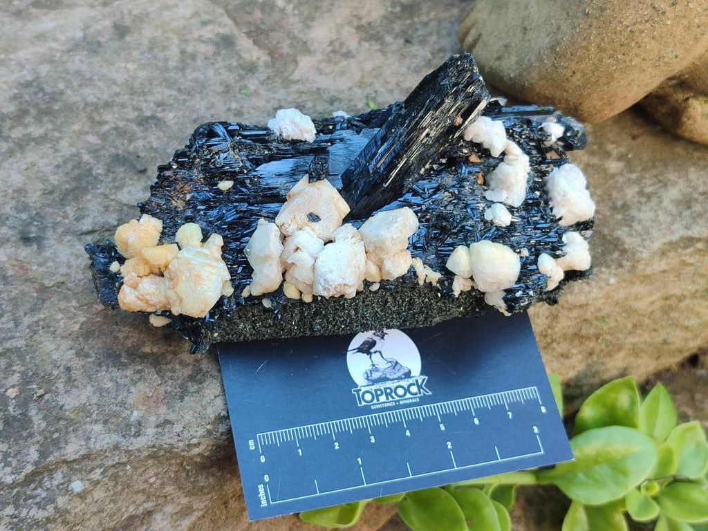 Natural Multi Mineral Specimens x 6 From Southern Africa - Toprock Gemstones and Minerals 