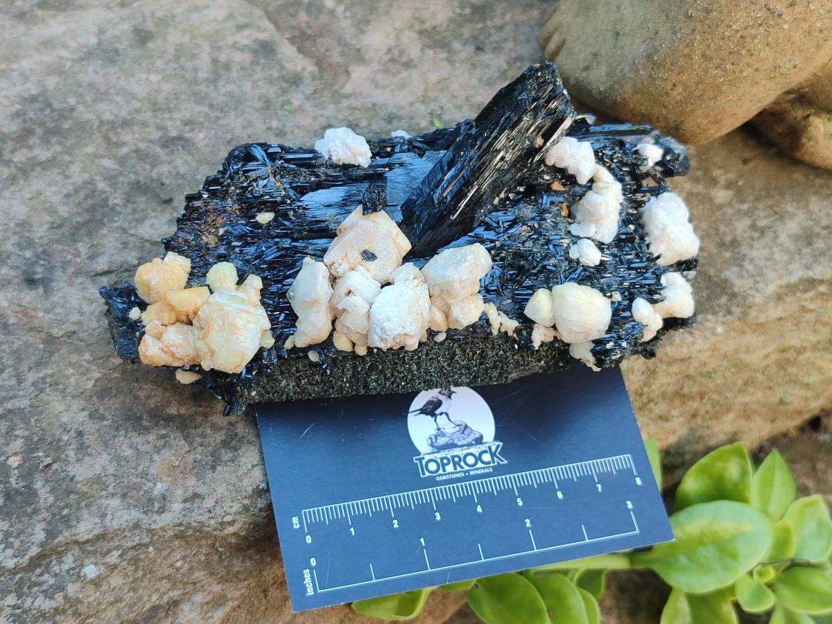 Natural Multi Mineral Specimens x 6 From Southern Africa - Toprock Gemstones and Minerals 