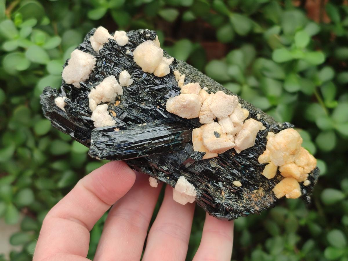 Natural Multi Mineral Specimens x 6 From Southern Africa - Toprock Gemstones and Minerals 