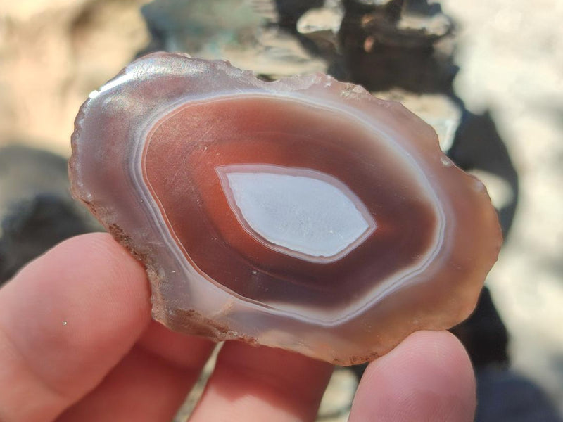 Polished One Side Red Shashe River Agate Nodules x 35 From Shashe River, Zimbabwe - Toprock Gemstones and Minerals 