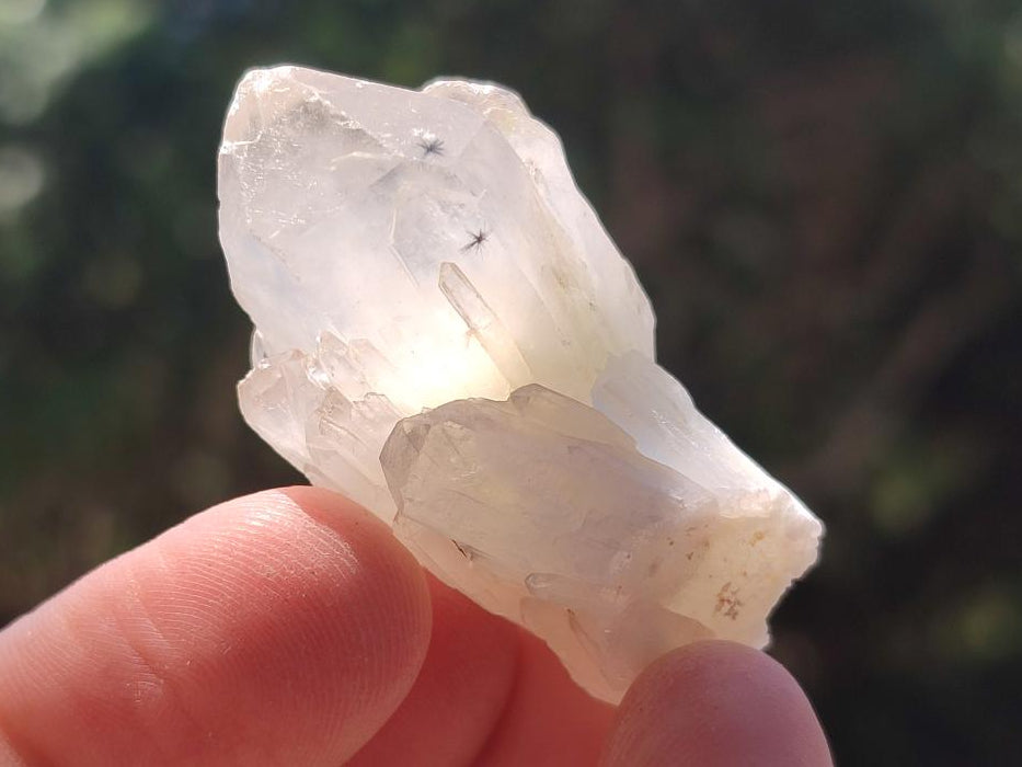 Natural Single Hollandite Star Quartz Crystal x 70 From Congo - Toprock Gemstones and Minerals 