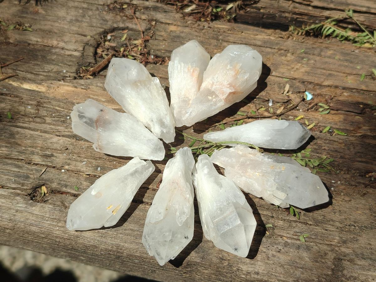 Natural Single Hollandite Star Quartz Crystal x 70 From Congo - Toprock Gemstones and Minerals 
