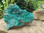 Natural Cobbed Large Shattuckite, Malachite, Chrysocolla and Azurite Specimen x 1 From Kaokoveld, Namibia - Toprock Gemstones and Minerals 