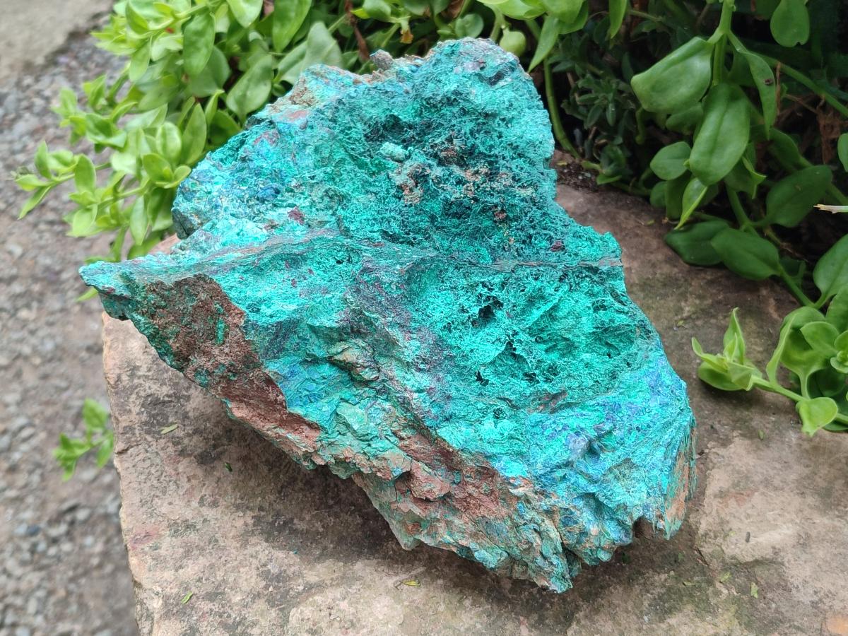 Natural Cobbed Large Shattuckite, Malachite, Chrysocolla and Azurite Specimen x 1 From Kaokoveld, Namibia - Toprock Gemstones and Minerals 