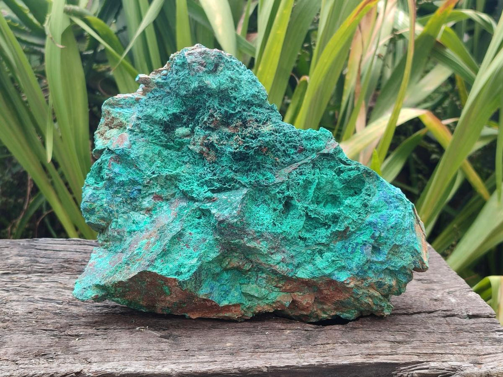 Natural Cobbed Large Shattuckite, Malachite, Chrysocolla and Azurite Specimen x 1 From Kaokoveld, Namibia - Toprock Gemstones and Minerals 