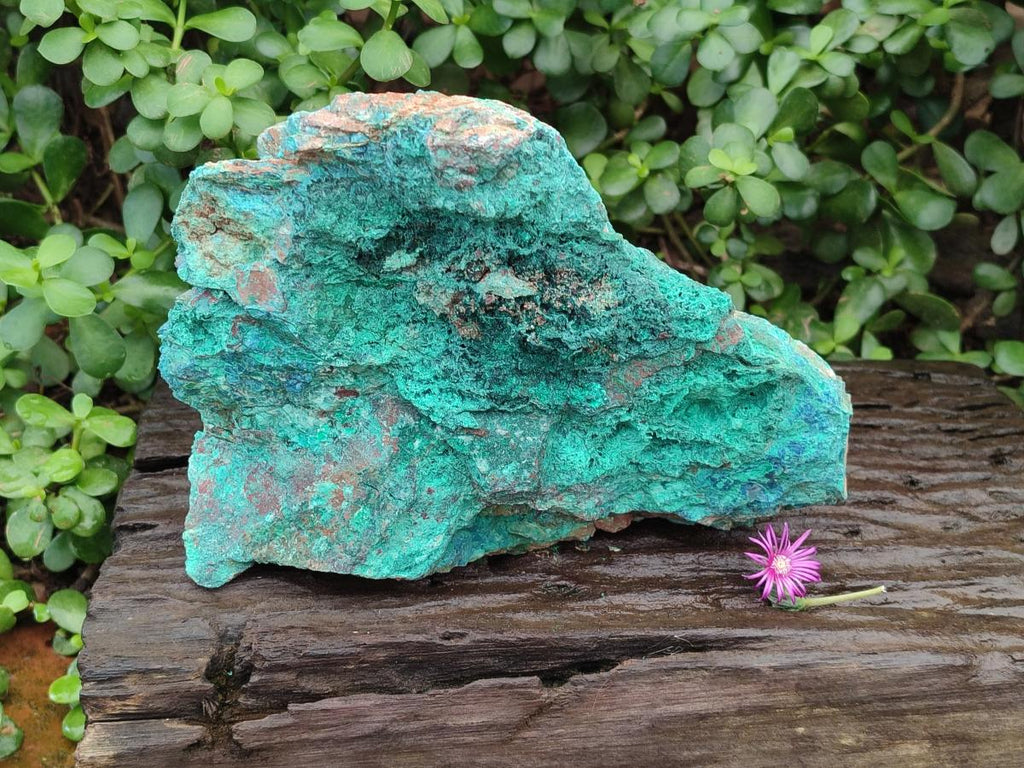 Natural Cobbed Large Shattuckite, Malachite, Chrysocolla and Azurite Specimen x 1 From Kaokoveld, Namibia - Toprock Gemstones and Minerals 
