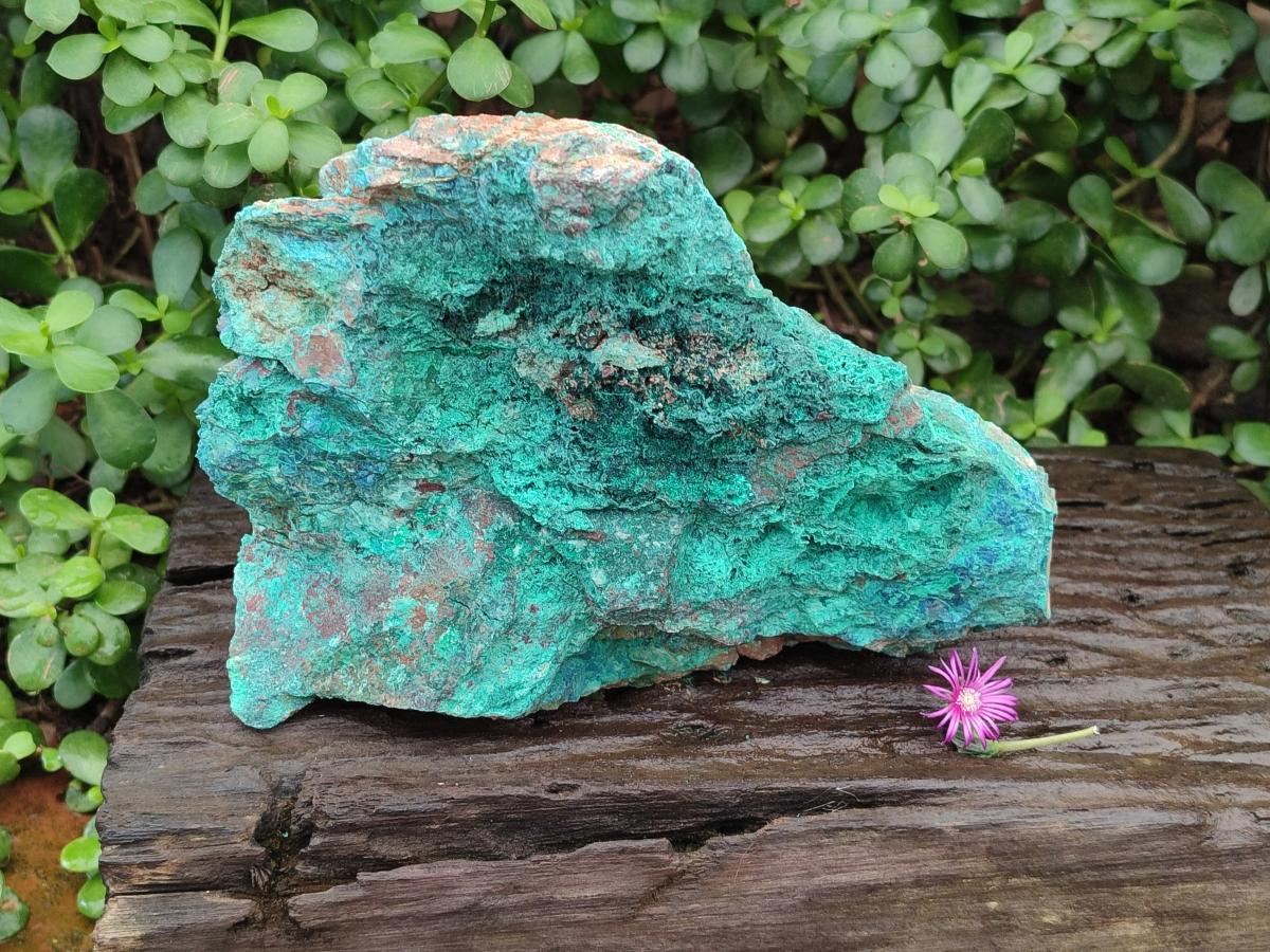 Natural Cobbed Large Shattuckite, Malachite, Chrysocolla and Azurite Specimen x 1 From Kaokoveld, Namibia - Toprock Gemstones and Minerals 